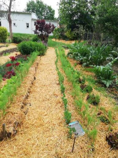 הוילה La Boussac Au Coeur Du Jardin מראה חיצוני תמונה
